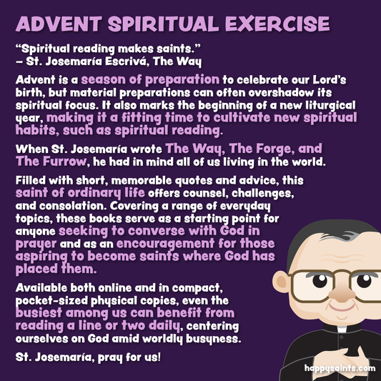 Advent Spiritual Exercise - a reflection